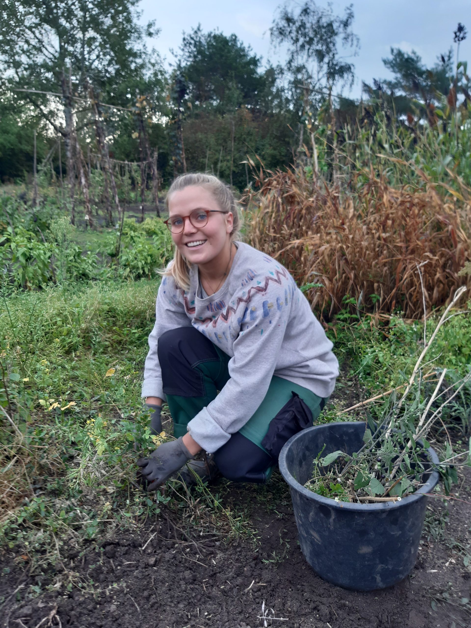 bag-arbeit-forum-arbeit-Gestaltungsoptionen einer sozial-ökologischen Marktwirtschaf